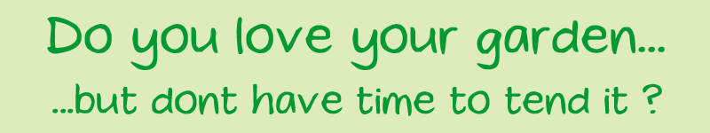 Daisy Chain Gardening Services - Daisy Chain Gardens -